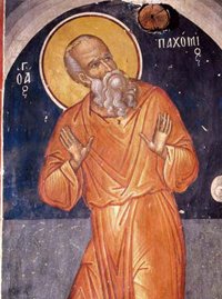 15_paxomios